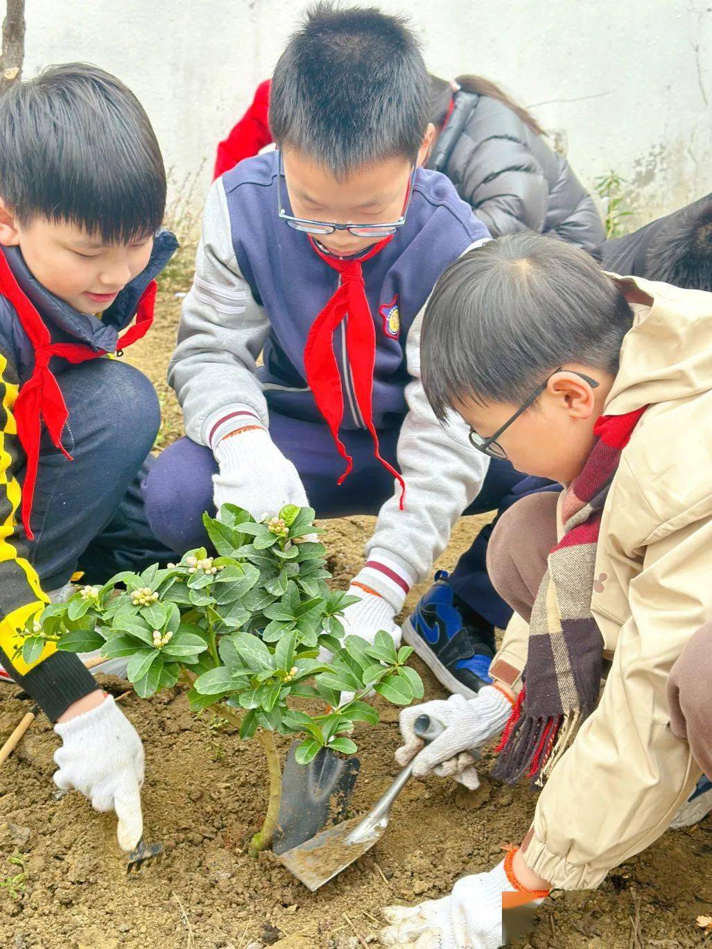 的六年级的孩子们苏州市沧浪实验小学校的春日约会共赴一场"十年树木