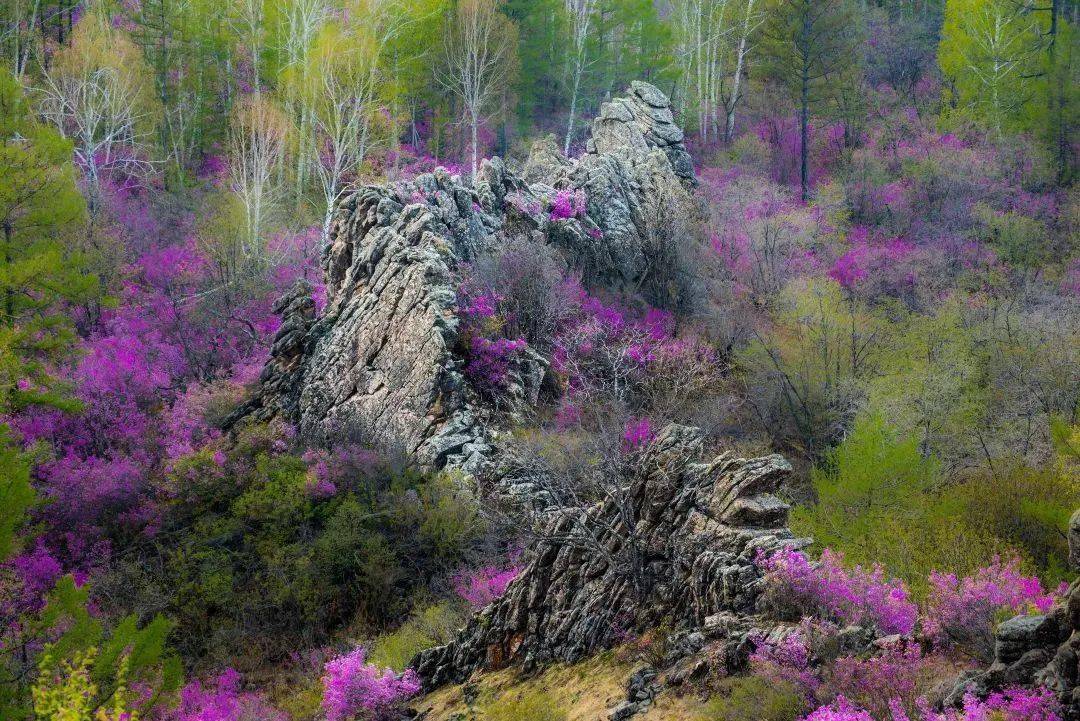 心体验龙年去松岭有龙的地方