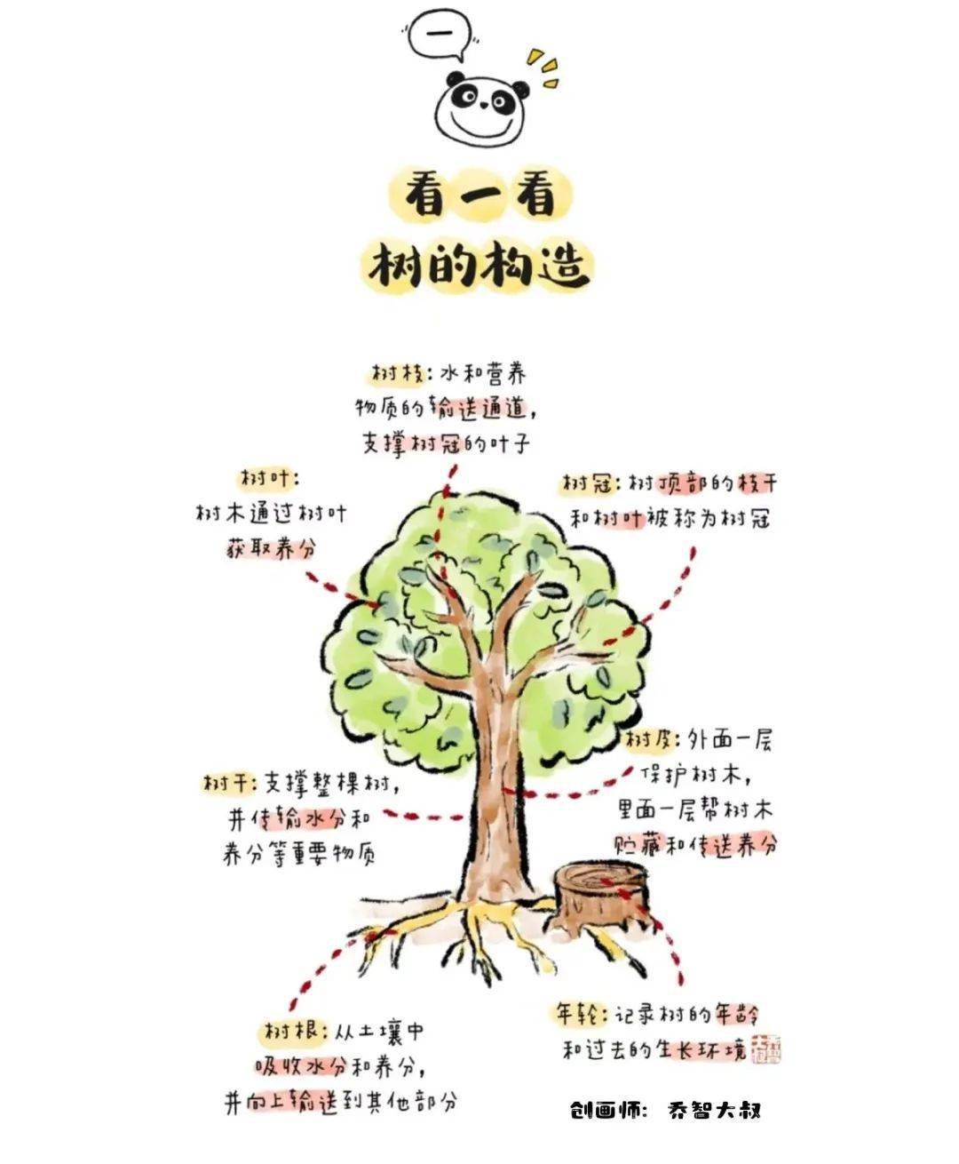 种下一棵树在桃花