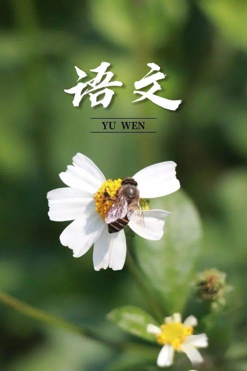 们签收来源 |校团委图片 |李荣珊 黎敏 欧阳桂菊 甘美凤  吴柳宣文字