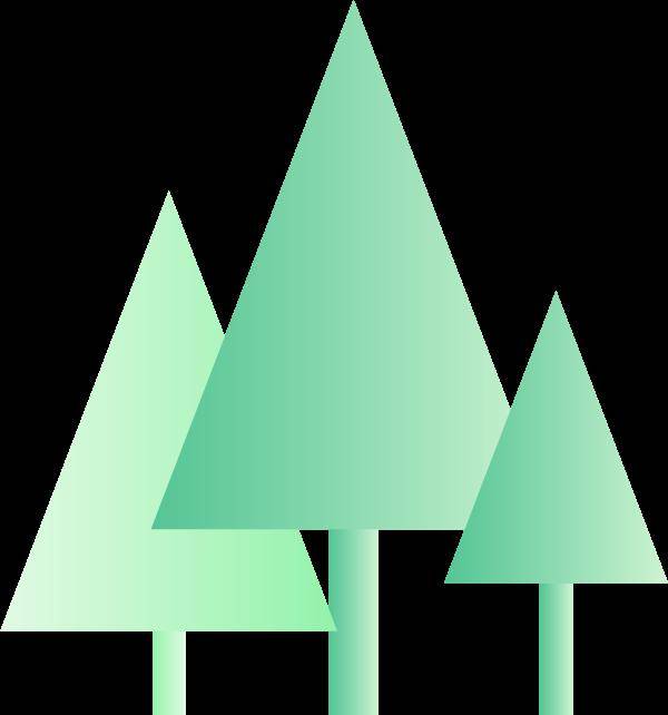 植此青绿未来可期