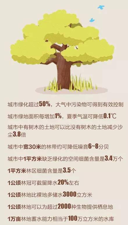 一棵树的数字故事~_树木_树苗_树林