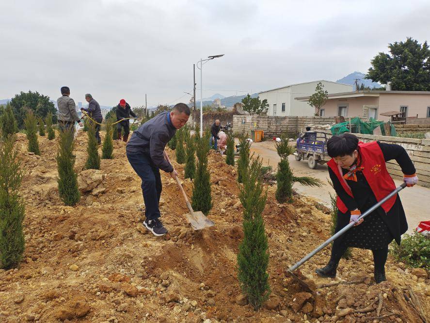 植此青绿不负春光石井镇开展植树造林活动
