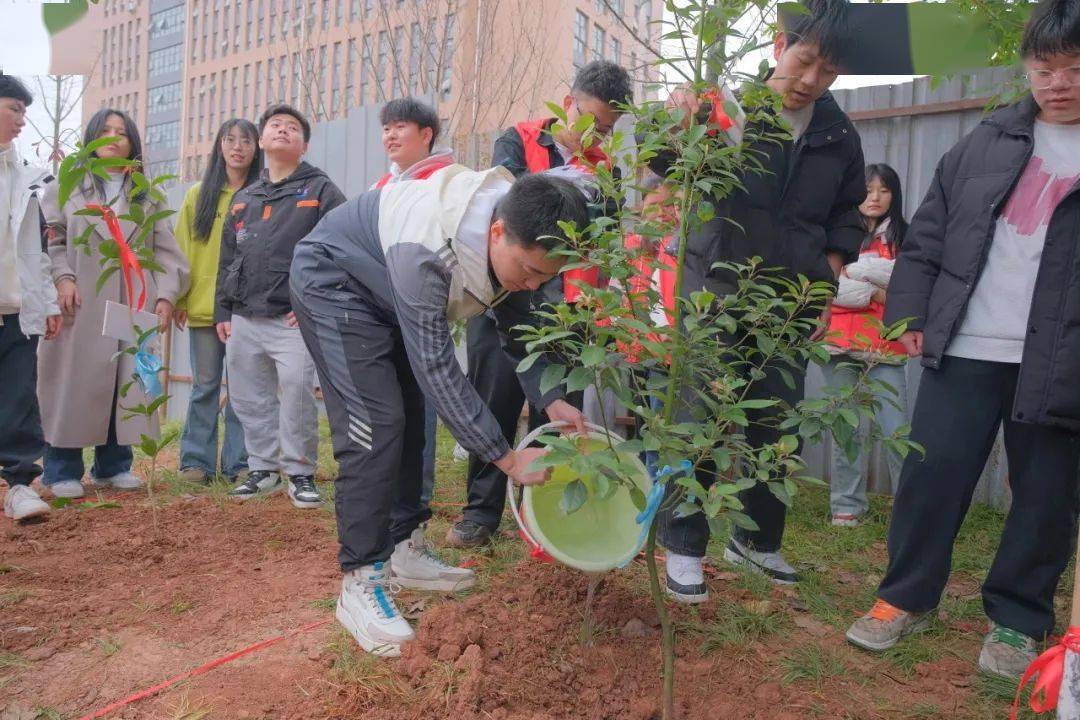 集团多院校开展植树活动微报五分钟天天见