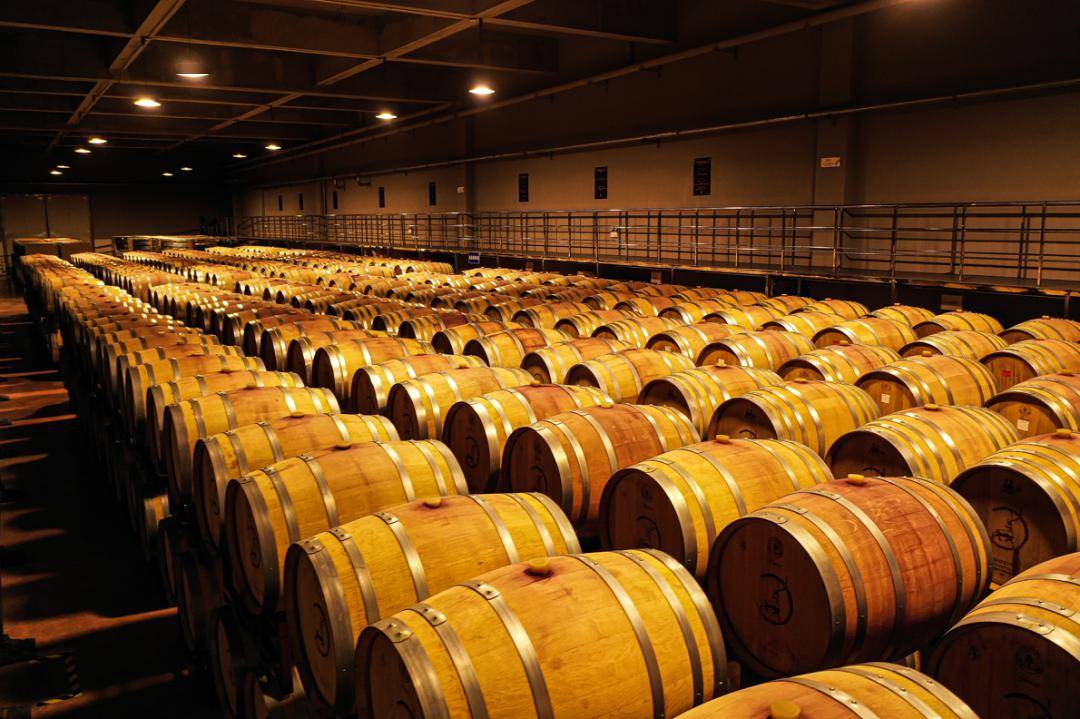 宁夏二十一景宁夏酒堡走进贺兰山东麓追寻紫色梦想的浪漫