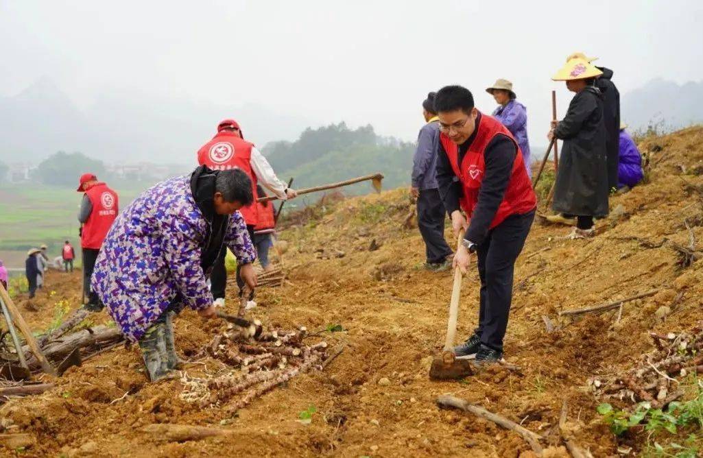 淀粉之王春种秋收