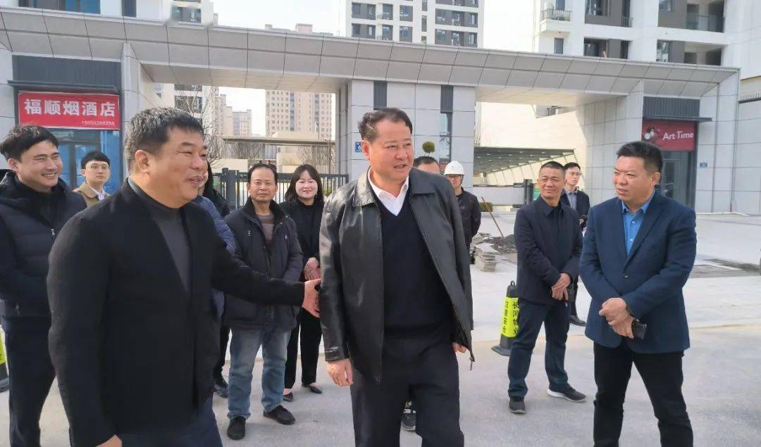 王庆武调研城市大建设项目