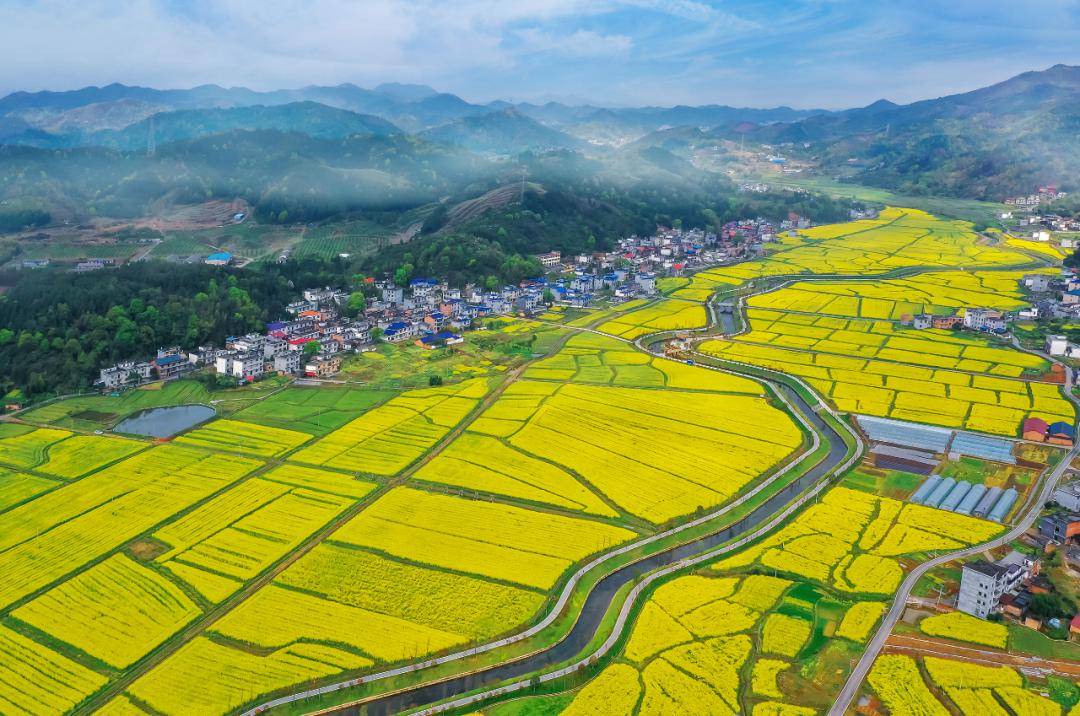 花漾萍乡 "辣"么多娇!_油菜花_美景_莲花