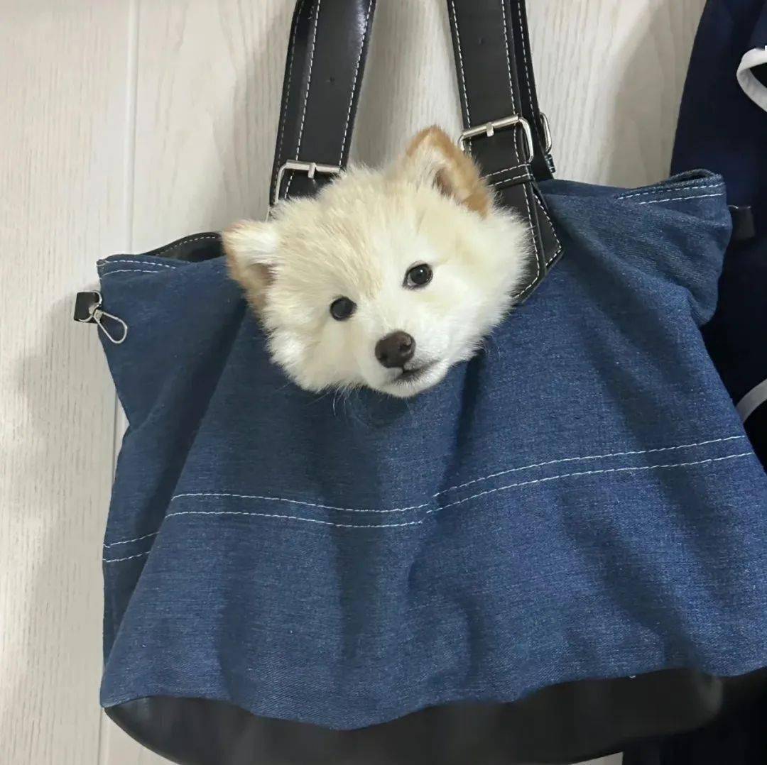 头像微信头像有点好看