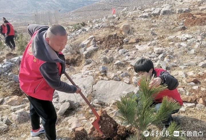 完美电竞累计栽种树木331株济宁泗水志愿者植树造林在行动(图2)