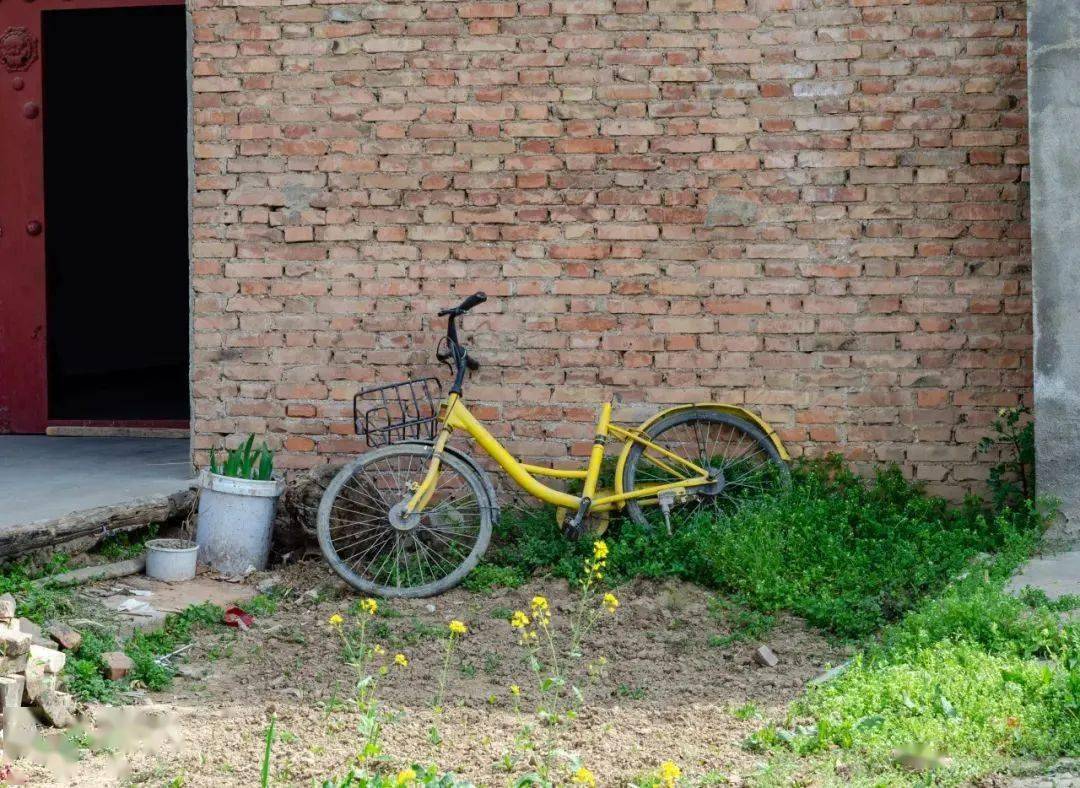 为什么共享单车这么难骑_轮胎_自行车_充气