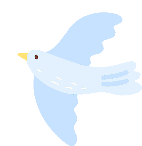 绳编非遗小传人亮相央视龙年大年三十,央视cctv-1综合频道播出了成都