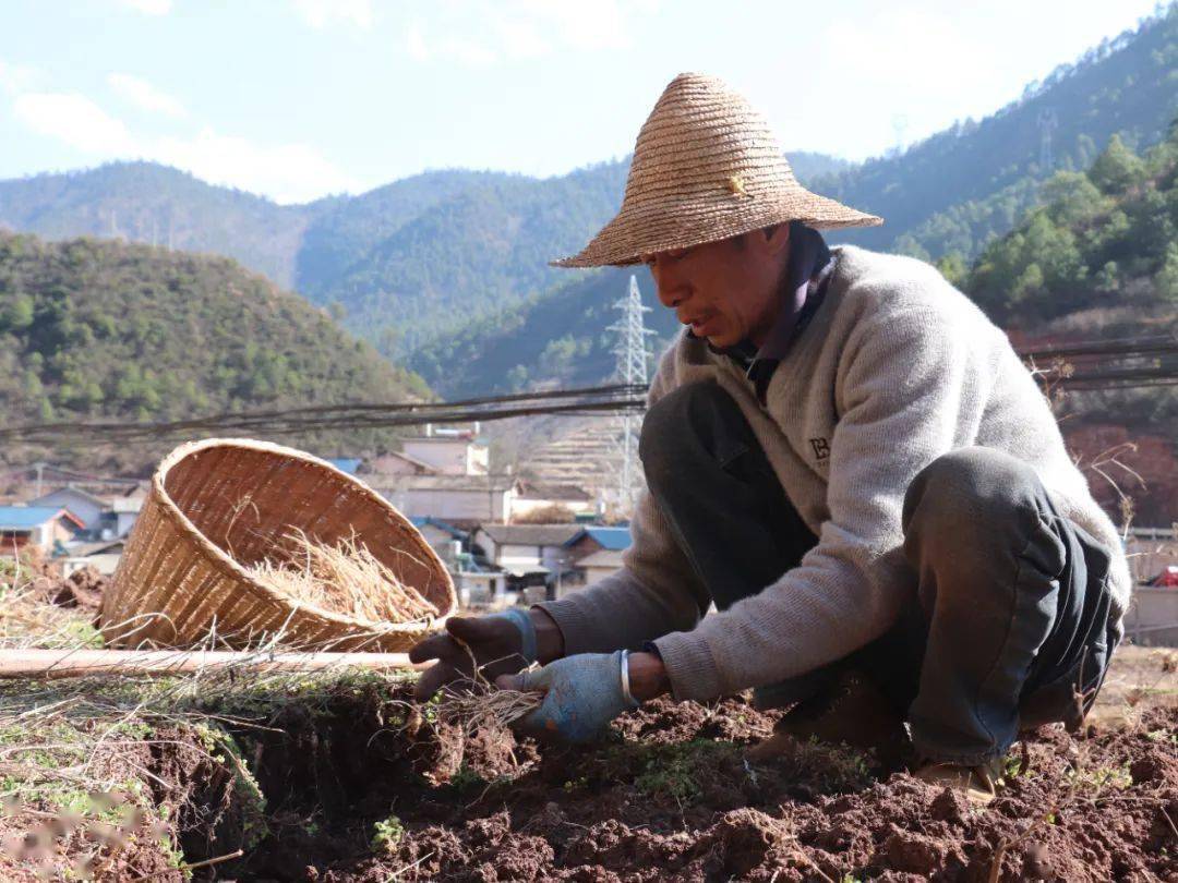 春回大地暖,春耕春播进行时→ | 图瞰风云_摄影_村民_江西省