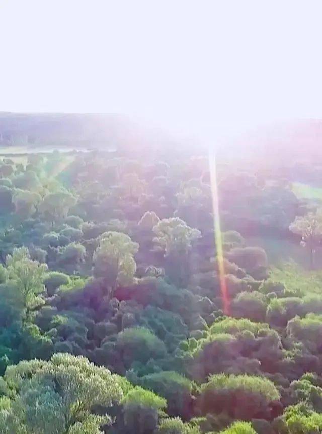 一组超治愈的数字带你看中国的绿色奇迹暗访波音工厂许多员工吸毒成瘾