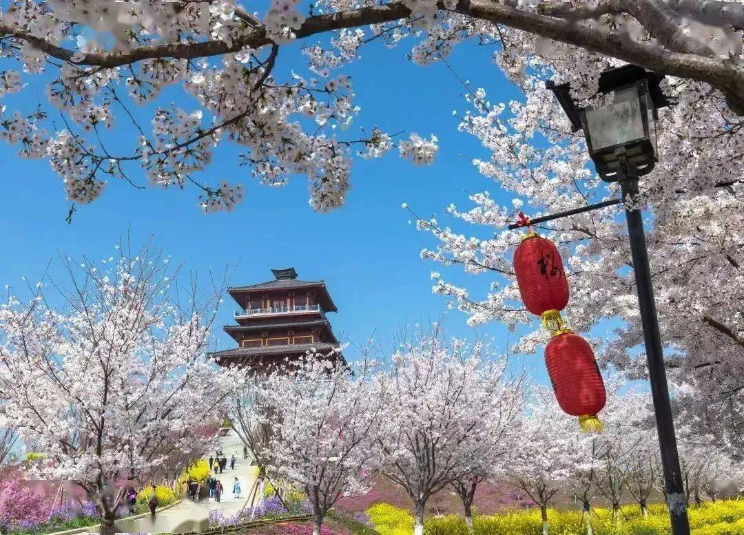 最是一年好春处,郑州的这些地方惊艳你的春天_草莓_活动_中牟县