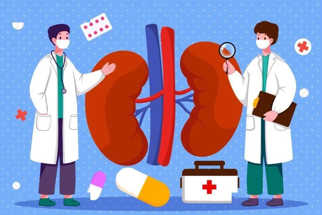 7%,患者人数超过1亿,需要接受肾脏替代治疗的终末期肾病患者有150多万