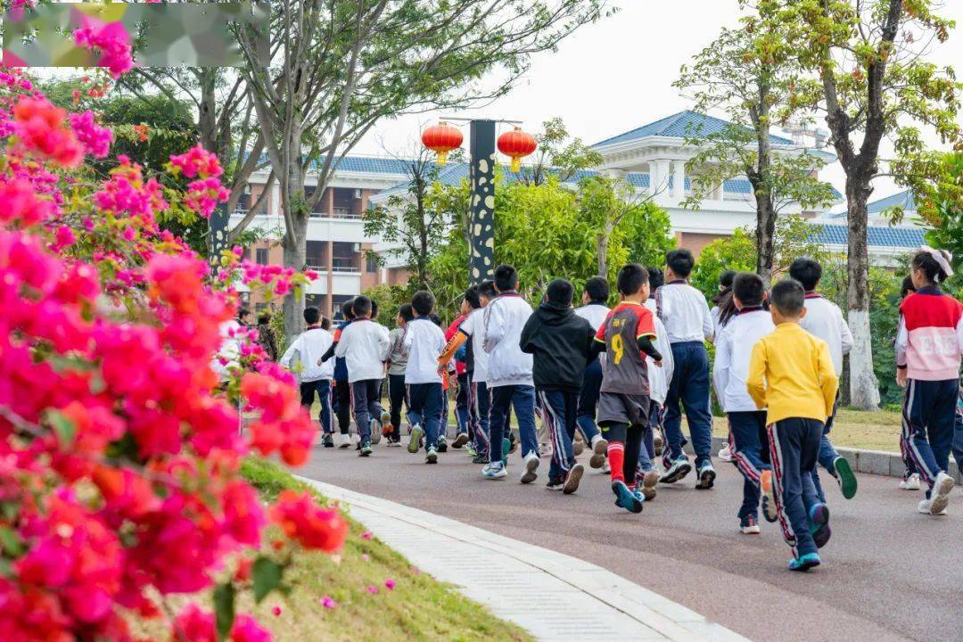 南城阳光第八小学最近充分享受大自然的乐趣举目眺望绿野红花