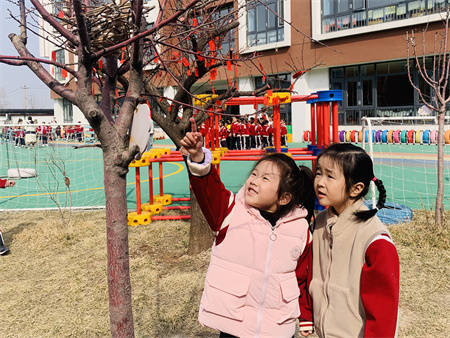 淄博市淄川区柳泉幼儿园和我一起拥抱春天
