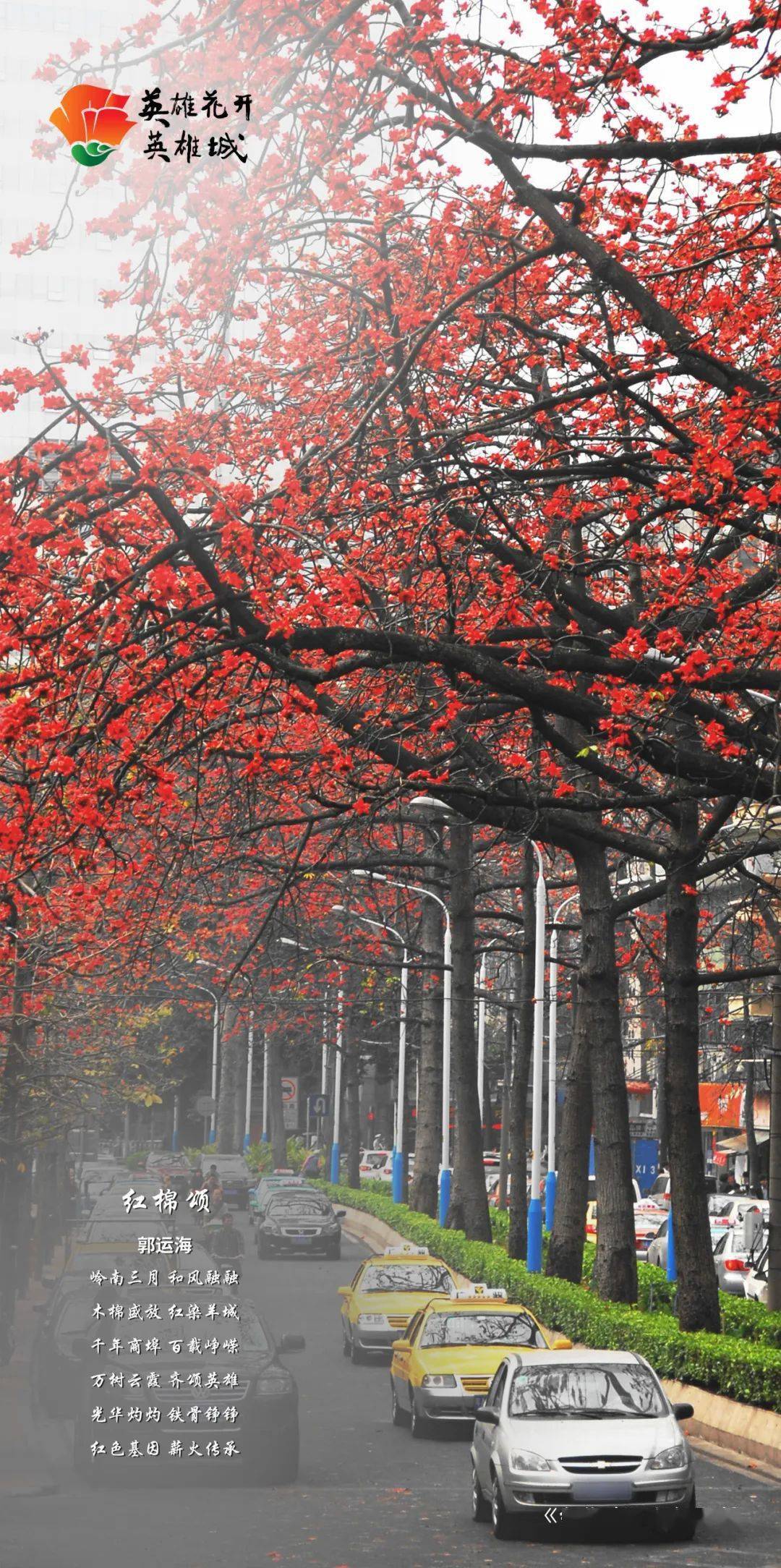 英雄花开英雄城→总得来一次广州赏木棉吧!_出口_地铁_红棉