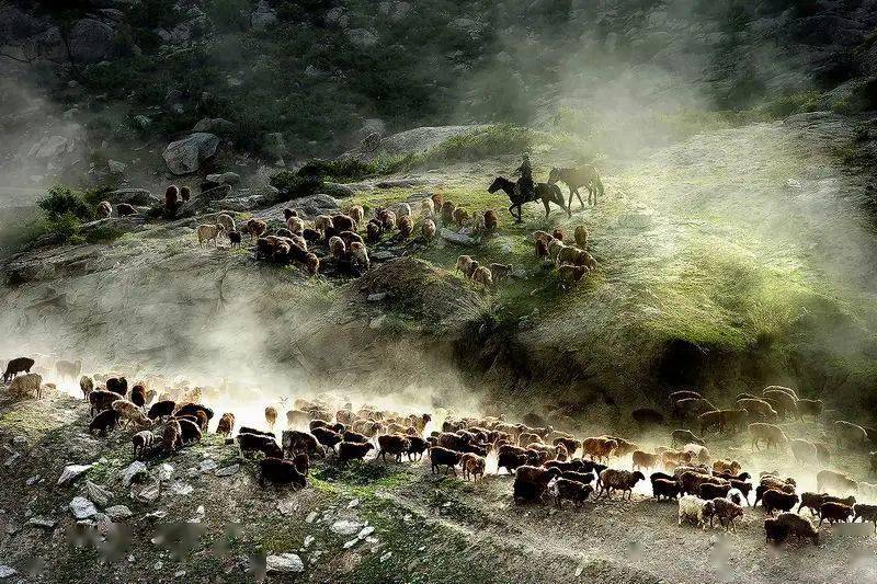 2023年度中国摄影在线国际摄影展览十杰发布