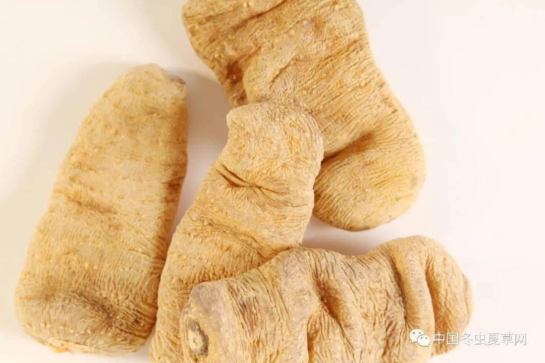 消除乳腺增生吃天麻吃法是关键