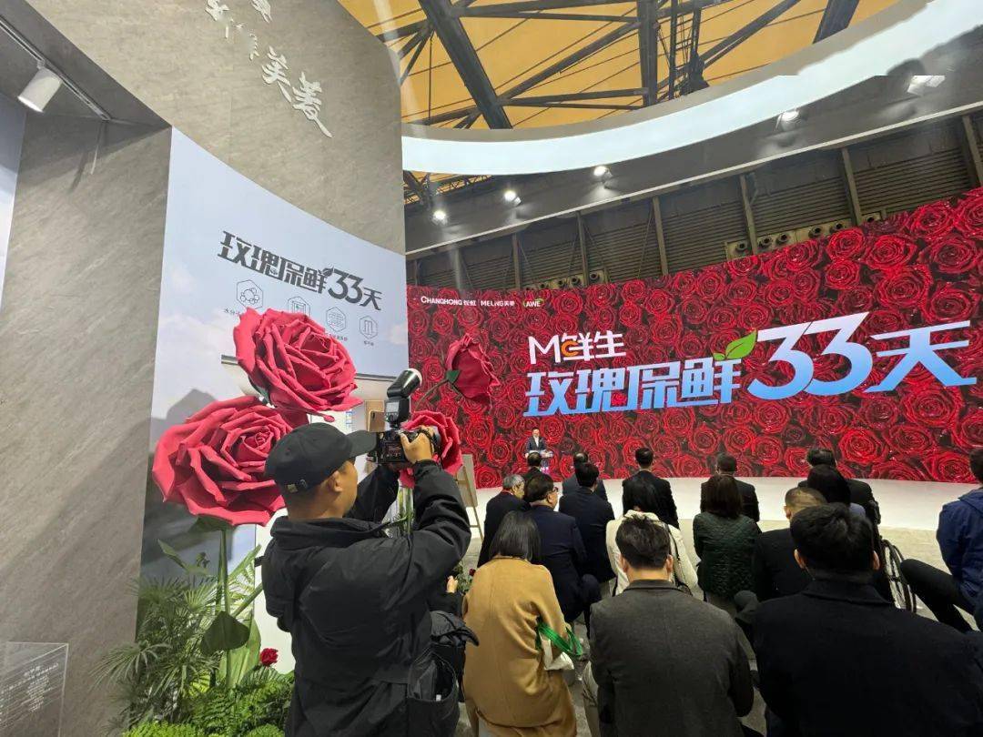 活字印刷术燃气灶壁纸电视家电产品还能长这样记者带你去awe2024看看