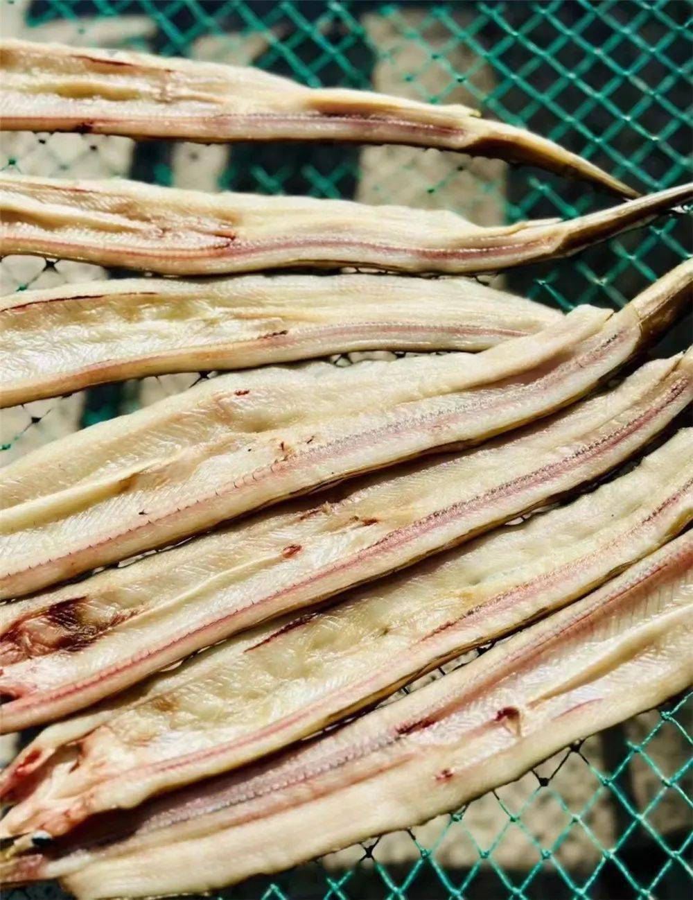 但小璞发现,现在市面上很难买到口感上佳的沙鳗鲞;许多说是自家晾晒的