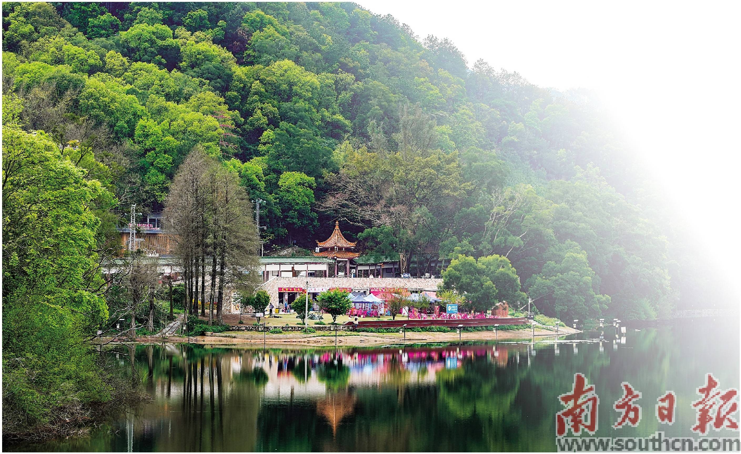 做优精品旅游 打造生态田园新村庄_发展_农文旅_三角镇