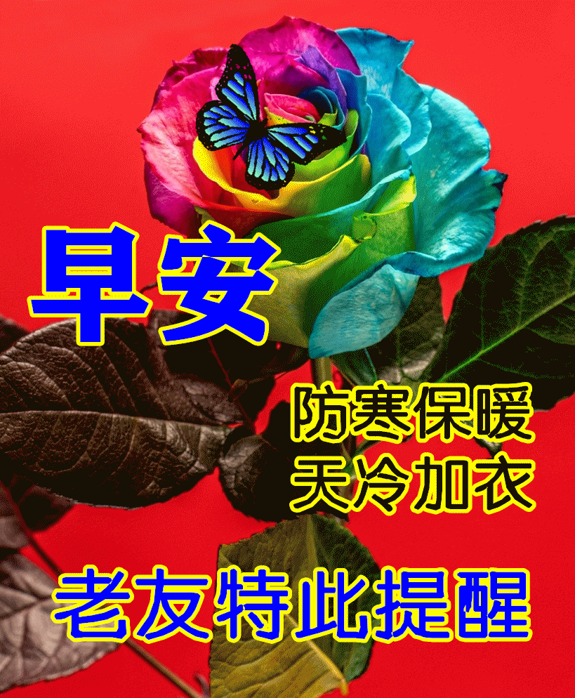 2024年3月15日周五早安今天刚出最新早上好图片早上好最漂亮的图片独