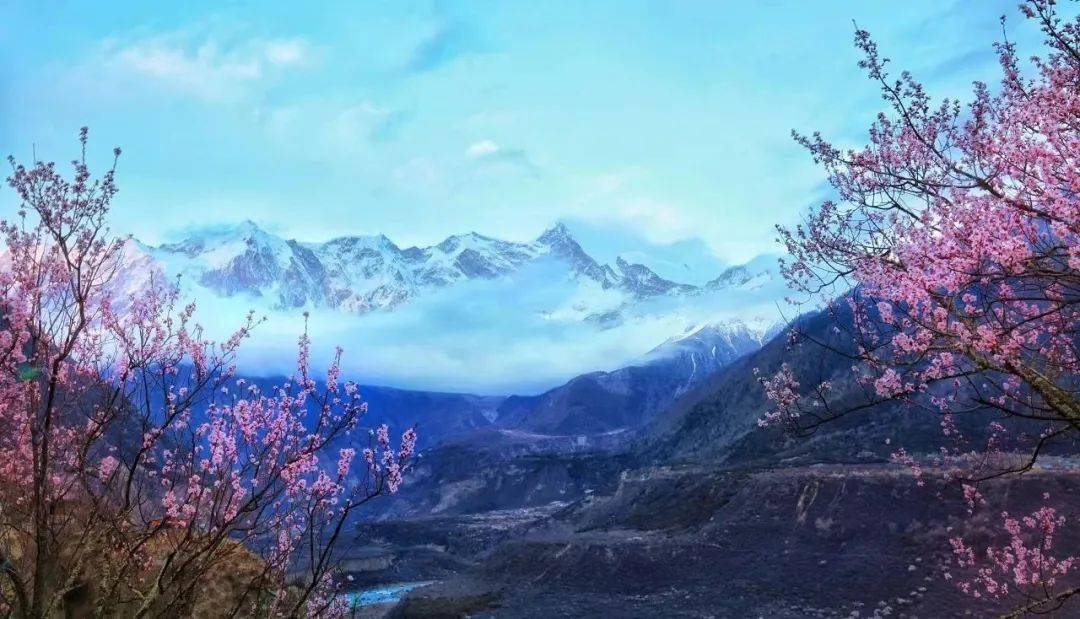 2024春日指南上3大主题27个春游目的地推荐