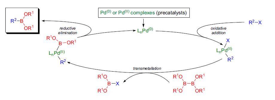 反应机理对于氯代物,2001年ishiyama经过研究发现在pd(dba)2/2.