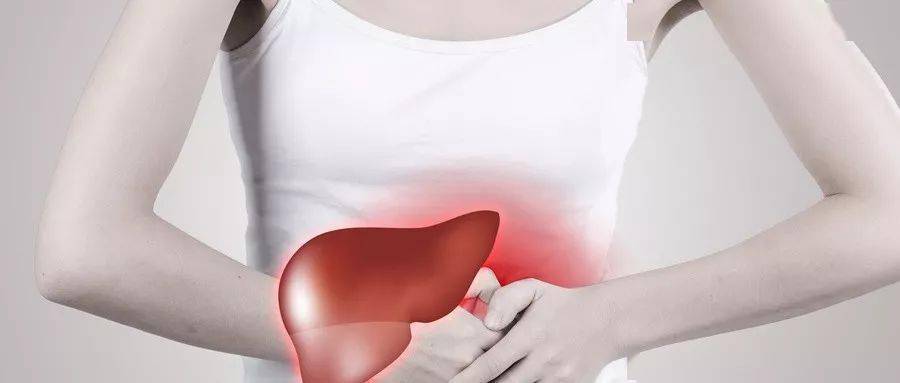 中医说,肝为女子先天之本,肝的藏血,肝的疏泄,都是女子非常依赖的作用