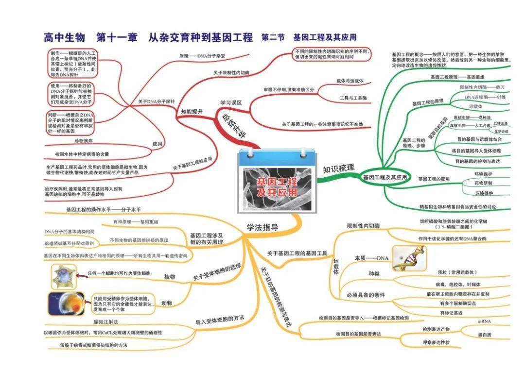 高中生物全套思维导图高清版