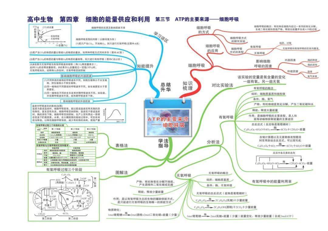 高中生物 全套思维导图