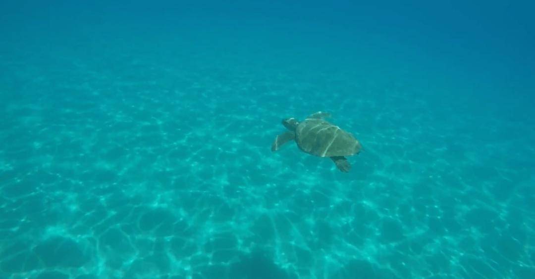 欧易居生活希腊5大潜水目的地