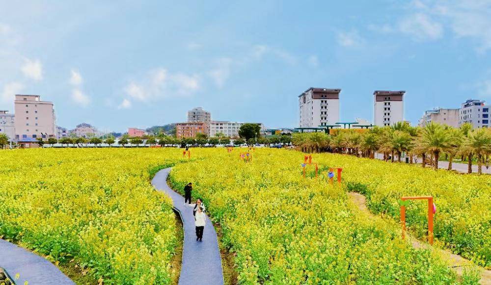 花满温州城来这里追春天