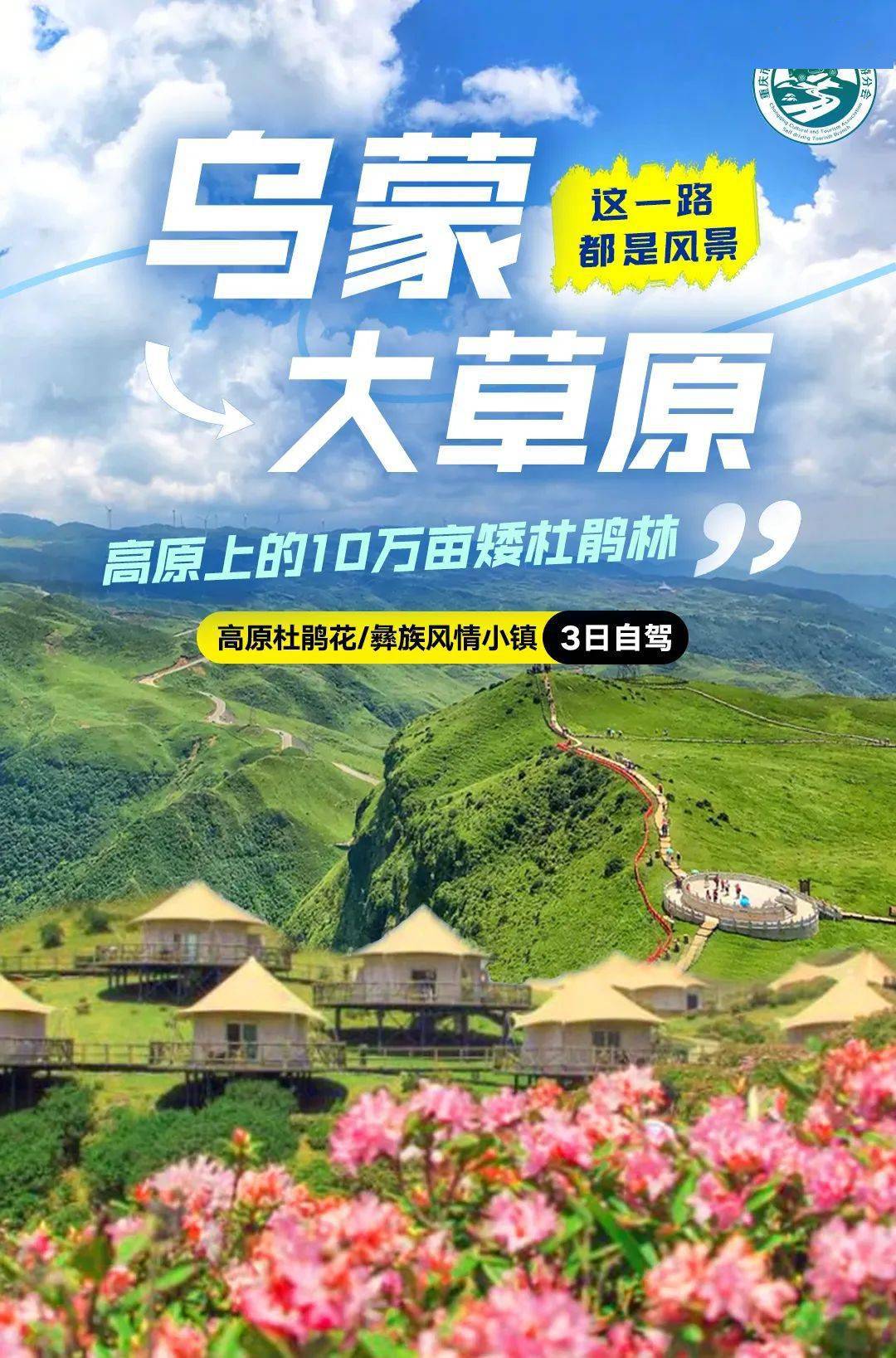 2024四月乌蒙大草原61高原杜鹃花3日自驾