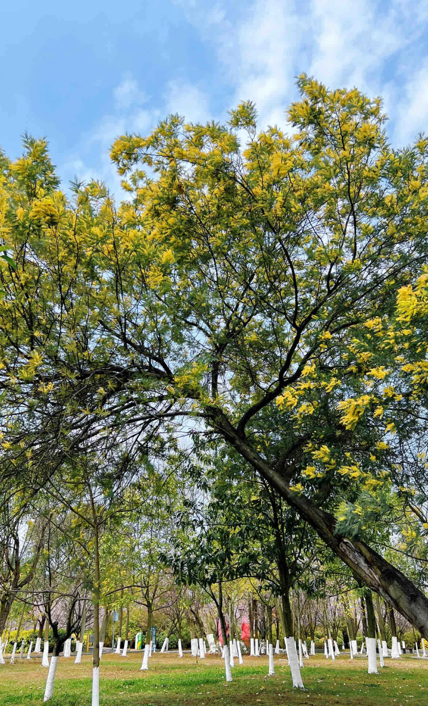 春暖花开一起趣识贵阳贵安