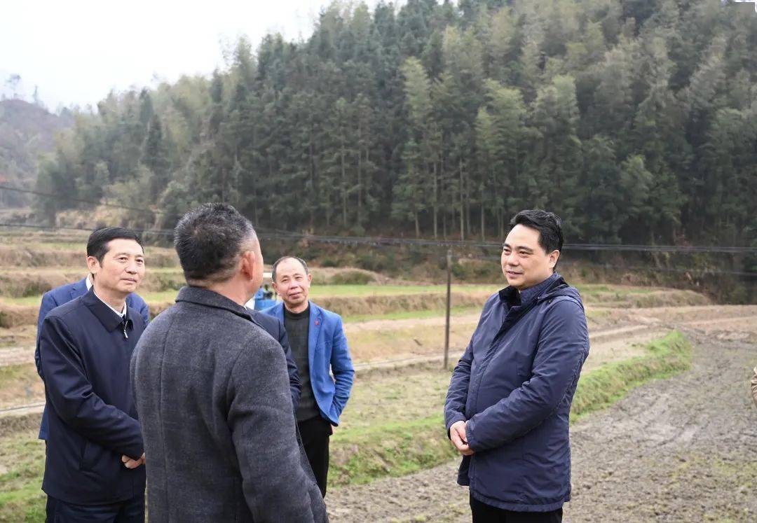 魏晓奎深入乐安宜黄调研