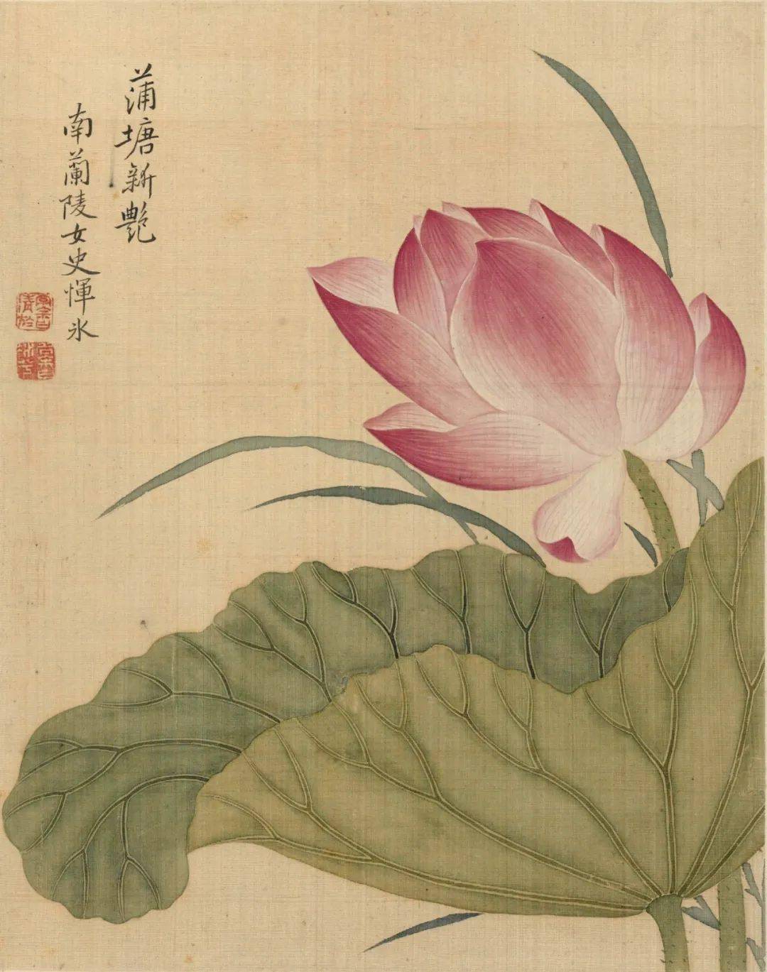 他画册 | 清 恽冰 花卉十开_山水_恽寿平_图册