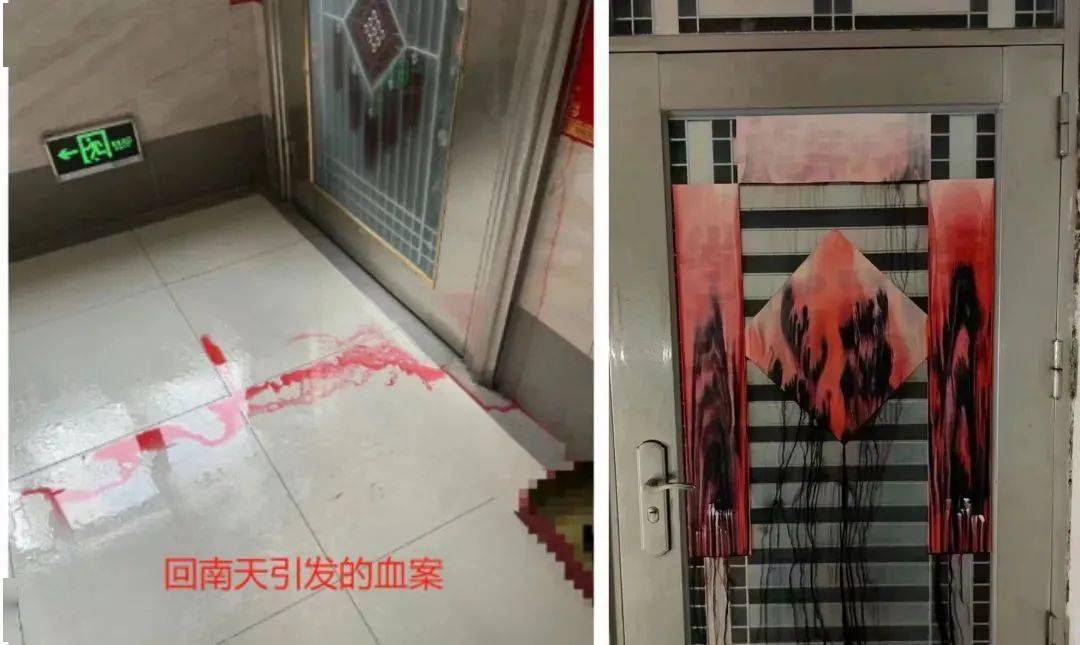 离谱程度刷新下限今年的回南天让南方人和猫都摔进骨科了