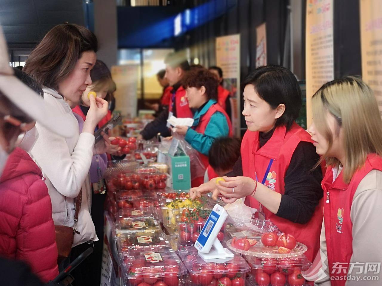 色彩缤纷口感各异2024年金山番茄节开幕