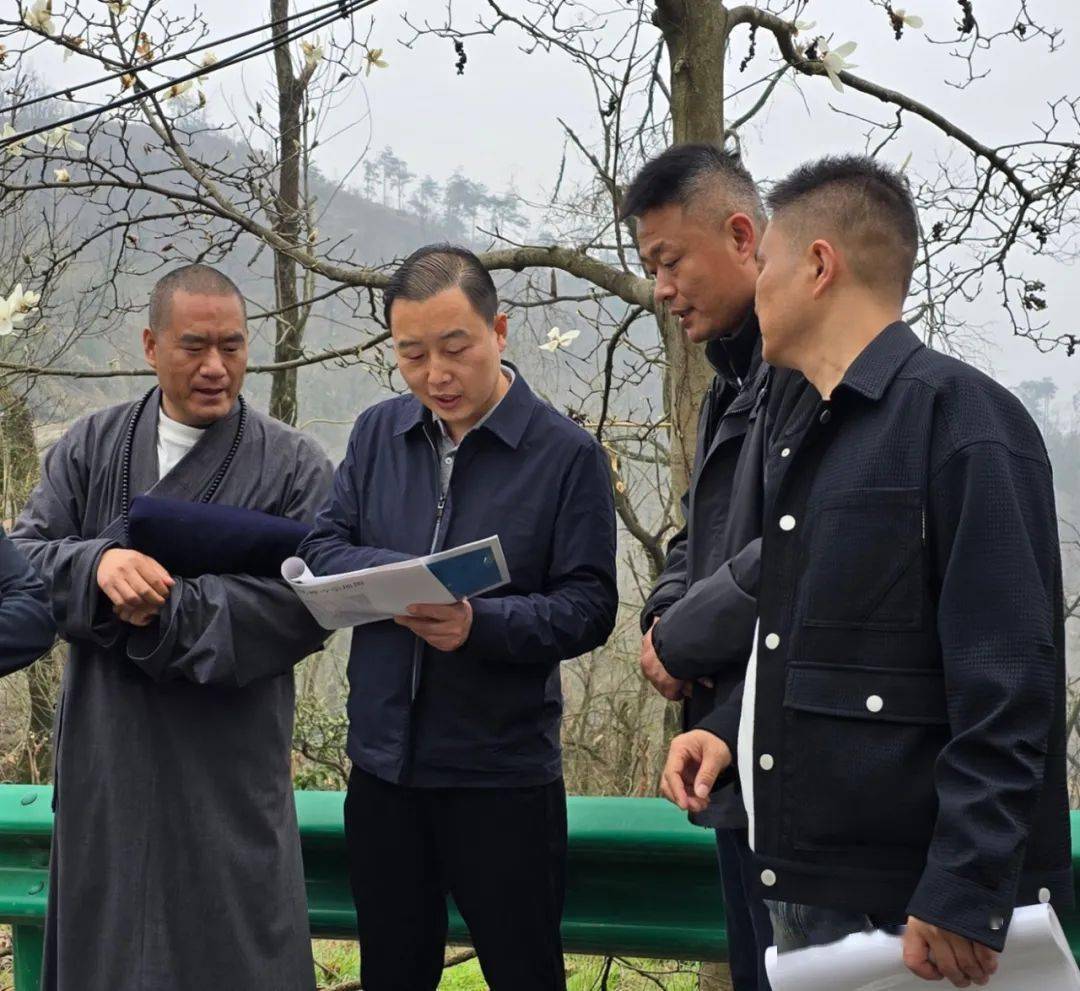 以问题为导向,服务项目建设高质量发展_情况_汪勇_交办