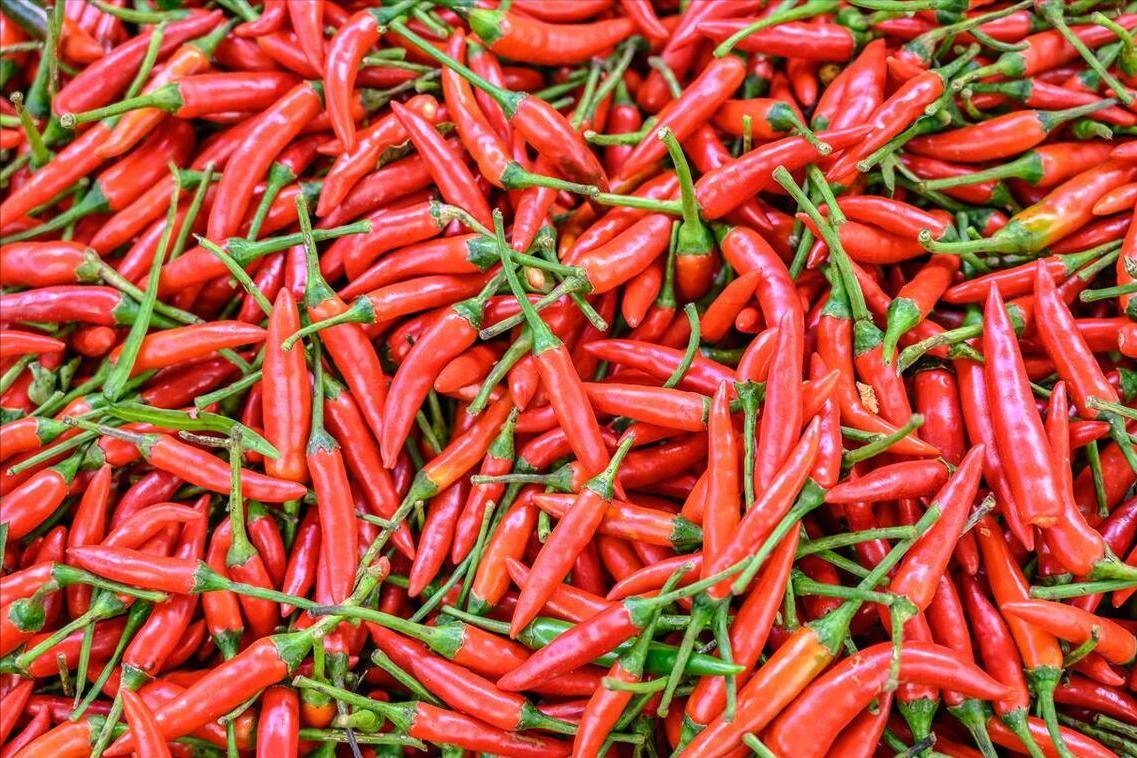 保存小米椒,切忌直接放冰箱,教你1招,保存半年仍新