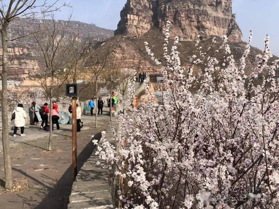 邢台九龙峡第十八届桃花文化节