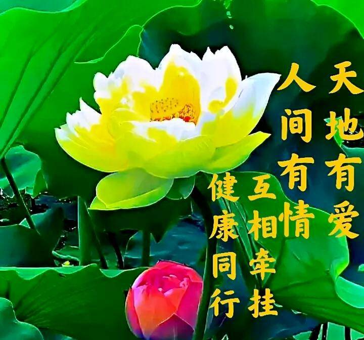 天地有情人间有爱互相牵挂健康同行