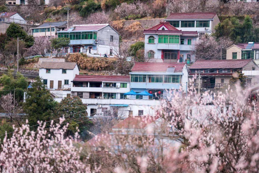 位于余姚市四明山镇西南18公里处,悬岩村建在山崖上,我仿佛看到了