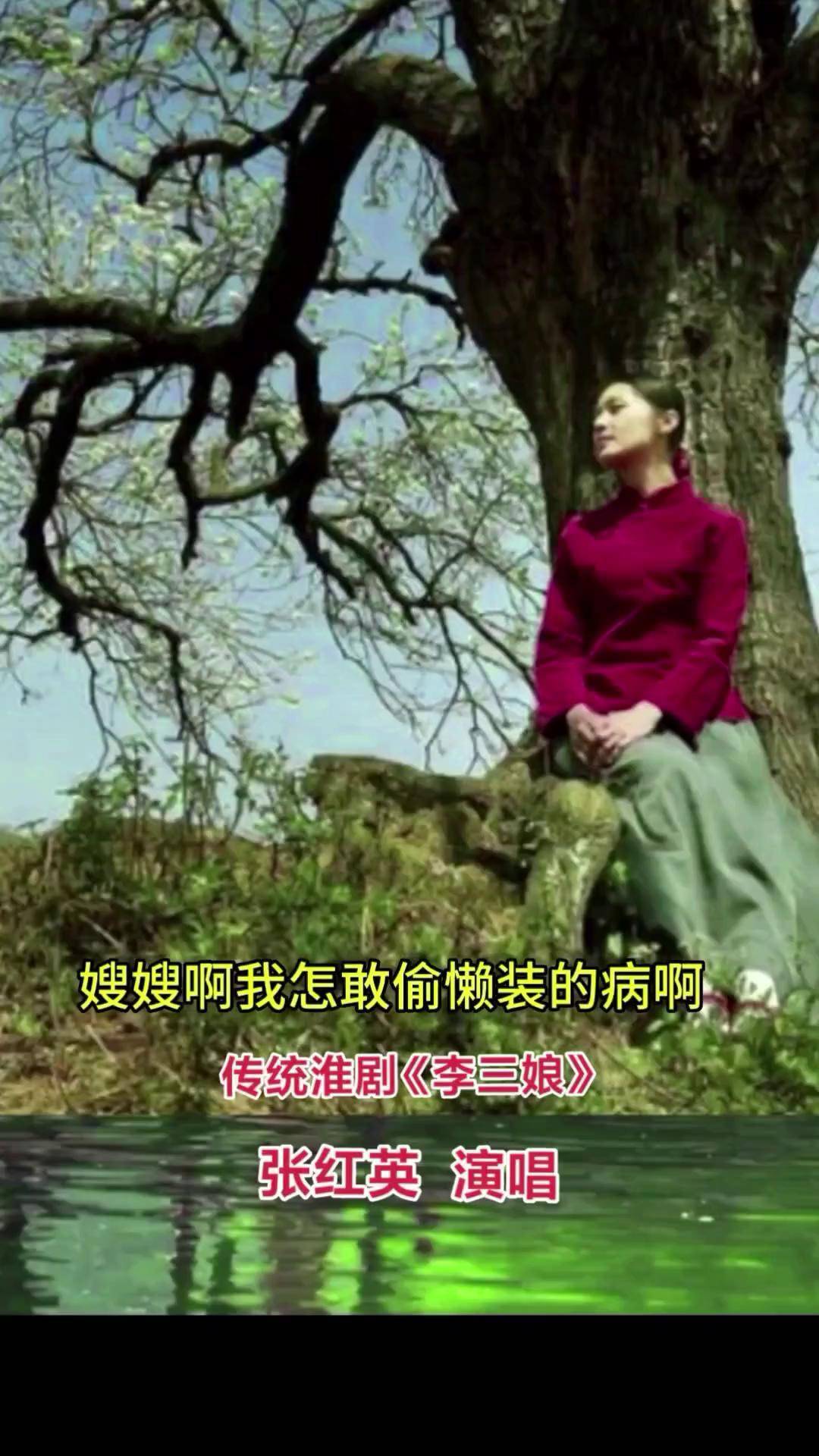 淮剧李三娘张红英版本图片