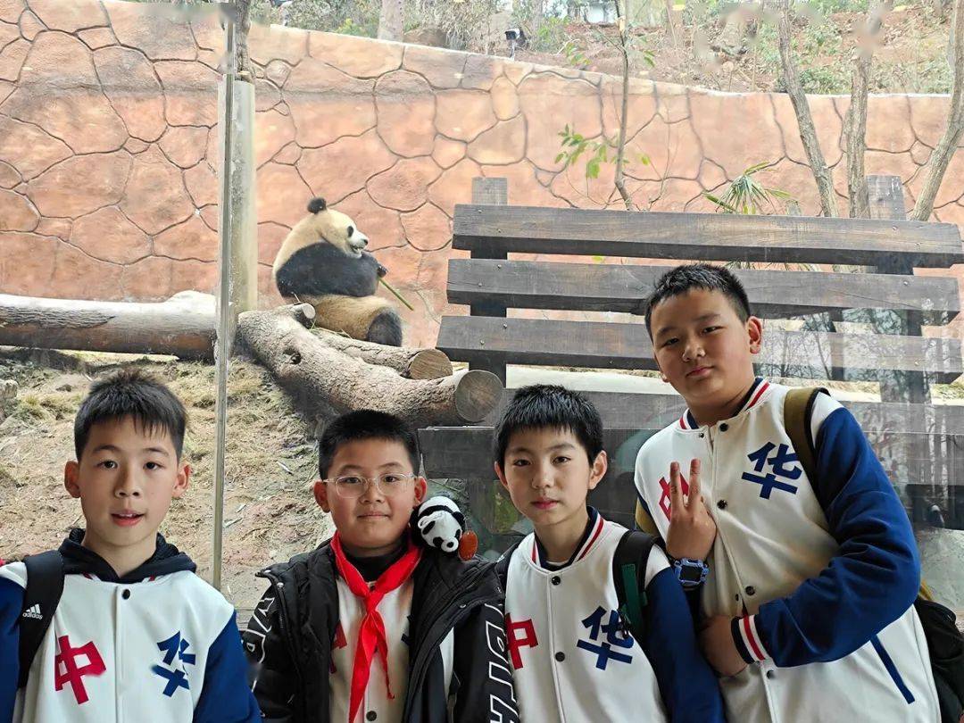 百年中华德育春日好时光一起趣研学丨渝中区中华路小学竹园校区45年级