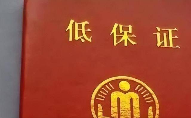 家的情况后，给他申请了低保户。就这样，一家人的生活才稍微稳定一些。
